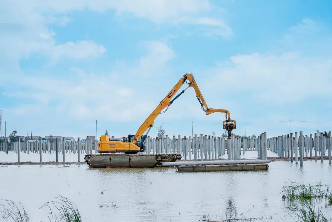 必发·bifa(中国)唯一官方网站